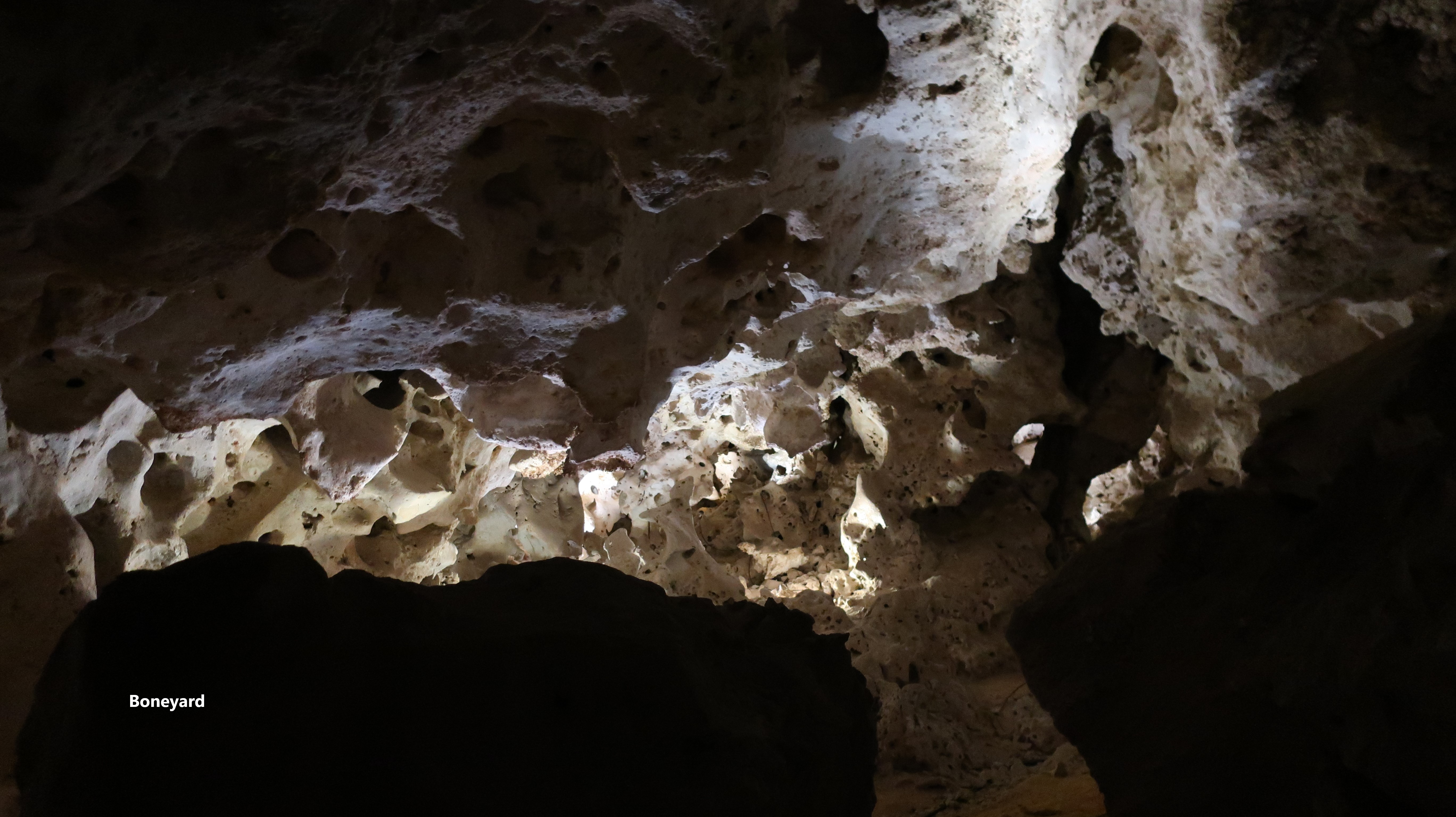 Carlsbad Caverns in New Mexico