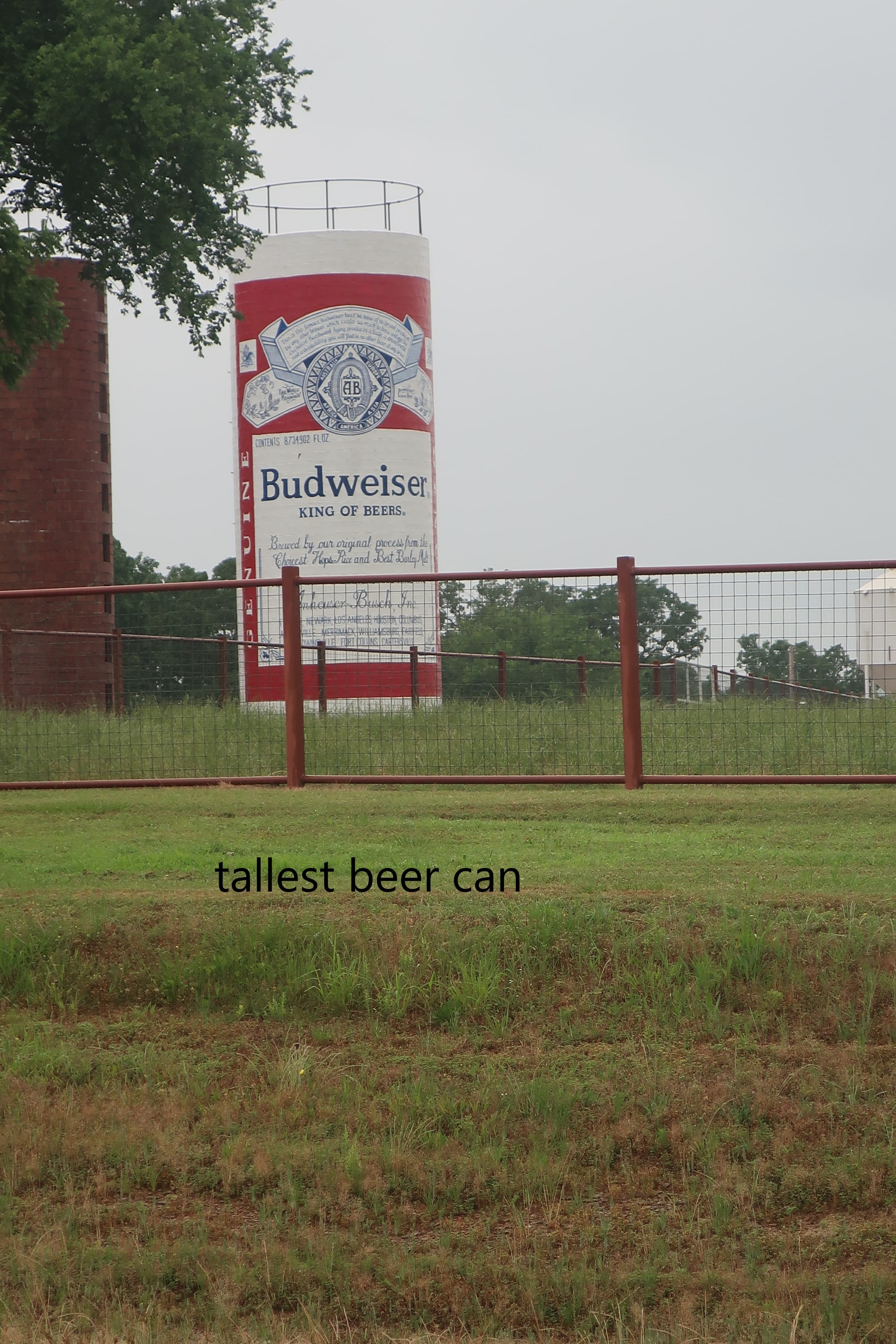 Lavaca, Arkansas tallest beer can